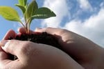 Waste Management business for sale