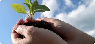 Waste Management business for sale image