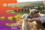 36744 Premium Experience Tourism Business, Multiple Revenue Streams