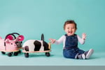 Wheely Bug Toys - Iconic Australian Toys - Online Business!