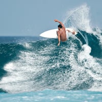 33017 Profitable Online Surf Shop - Price Negotiable image