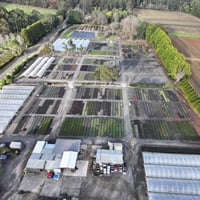 Established Wholesale Production Nursery | Under Management | $1.9m Profit image