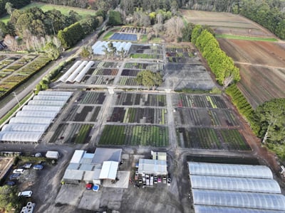 Established Wholesale Production Nursery | Under Management | $1.9m Profit image