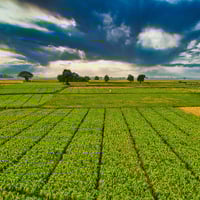 Global Leader in Broadacre Farming Machinery - 80% Sale 5898 image