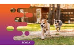 36113 - PROFITABLE DOG DAYCARE & GROOMING BUSINESS