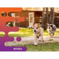 36113 - PROFITABLE DOG DAYCARE & GROOMING BUSINESS image