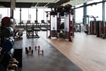 Six Figure Profit Business - Health & Fitness