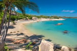 Long-Established Tree Services Business - Coastal Lifestyle!