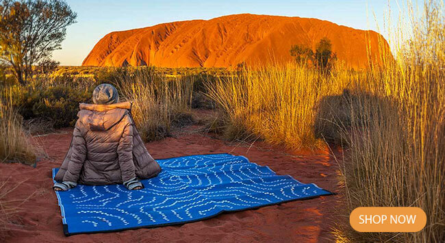 Profitable eCommerce Business Under Management