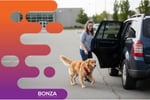 37114 Profitable Dog Daycare Business, Flexible Hours
