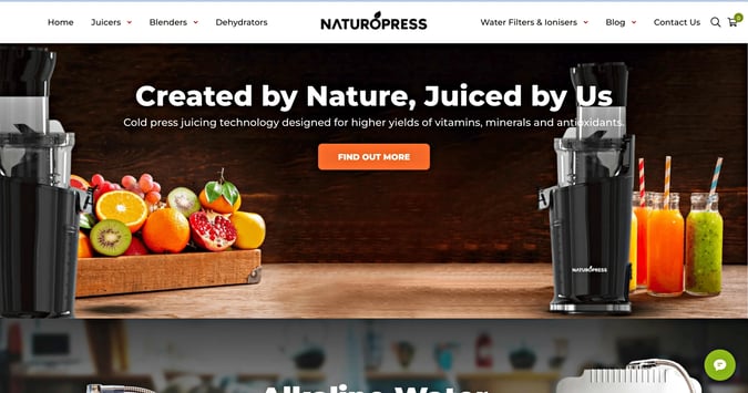 Automated eCommerce Business in Wellness Products