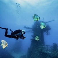 Highly Profitable Marine Tourism and Scuba Business in South West WA image