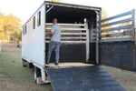 Horse Transport Business - Brisbane, QLD