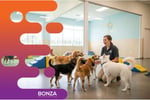 36626 Profitable Dog Daycare & Grooming Business with Recurring Income 