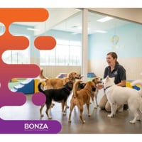 36626 Profitable Dog Daycare & Grooming Business with Recurring Income  image