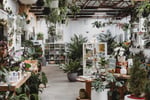 Boutique Plant / Garden Nursery & Giftware Store  Creative Lifestyle Business | Sydney