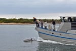 MV Lonsdale and Cruise / Tour Business for Sale