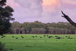 40 ACRE RESORT FROM HEAVEN - LEASEHOLD OPPORTUNITY