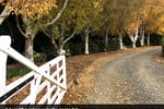 HERITAGE SEED BANK and OPEN GARDEN