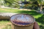 Iconic caravan cafe with established catering services