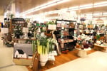 Scone Newsagency - $425k + SAV