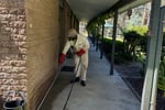 Pest Control - Termite Inspections / Management - Central Coast, NSW