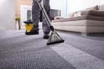 Carpet Cleaning & Pest Control $172,000 Profit