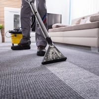 Carpet Cleaning & Pest Control $172,000 Profit image