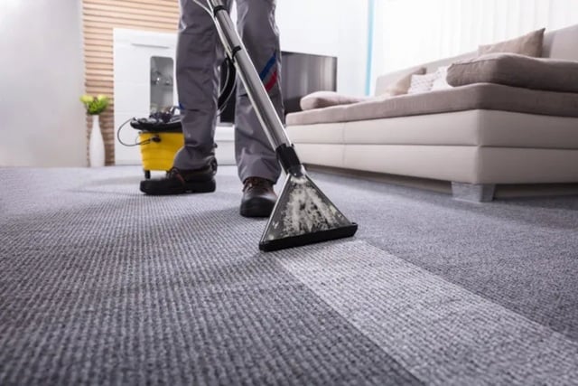Carpet Cleaning & Pest Control $172,000 Profit