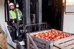 Profitable Fresh Produce Wholesale Business - 5869