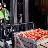 Profitable Fresh Produce Wholesale Business - 5869 image