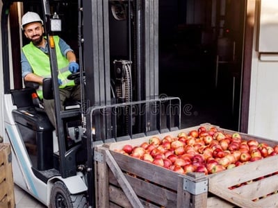 Profitable Fresh Produce Wholesale Business - 5869 image