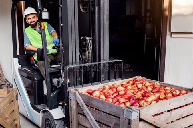 Profitable Fresh Produce Wholesale Business - 5869