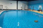 JUMP! Swim Schools - Established & Growing Franchise (Our Ref: V2113)