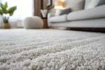 Established Home Furnishing Business in Sydney