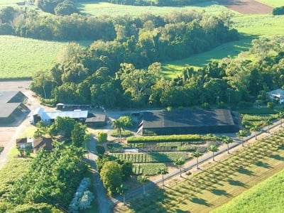 Prime Rural Business Opportunity - Tropical North Queensland image