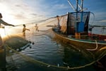 Profitable Commercial Fishing Business for Sale - NSW Coastal