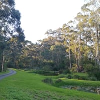 40 ACRE RESORT FROM HEAVEN – LEASEHOLD OPPORTUNITY primary image
