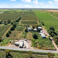 Established Food Retail & Wholesale Business - SA image