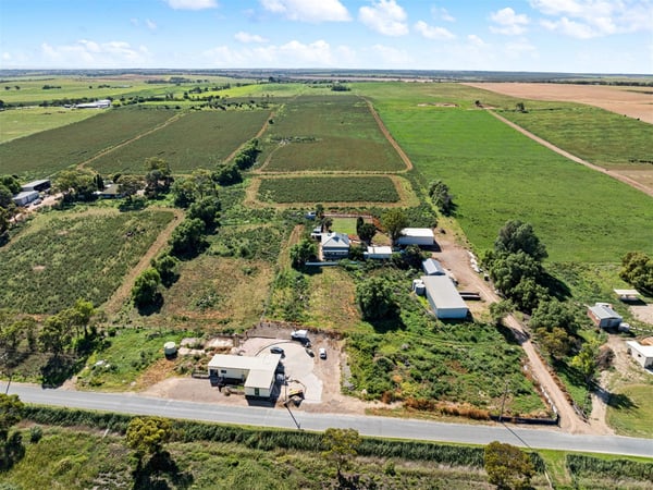 Established Food Retail & Wholesale Business - SA