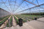 Hydroponic Vegetable Crop Farm - Land, Buildings & Machinery