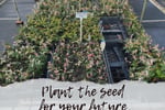 Plant the seed for your future