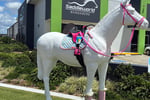 Saddleworld Bundaberg - Strategic Retail Hub with Growth Potential