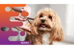 37007 Mobile Pet Grooming Business Ready to Grow