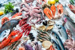 RETAIL SEAFOOD OUTLET - STRONG HISTORY!