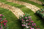 Importer & Wholesaler of Pebbles And Decorative Stone