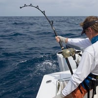 Bait & Tackle Business Gold Coast for Sale image