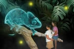 New High-Tech Hologram Zoo Mobile Entertainment - Sydney, NSW