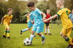 Niche Market Sports Product, Apparel and Equipment Outlet and National Online Webstore #411