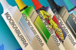 Online Cricket Business - Well Established